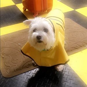 Meet your Posher, Mia